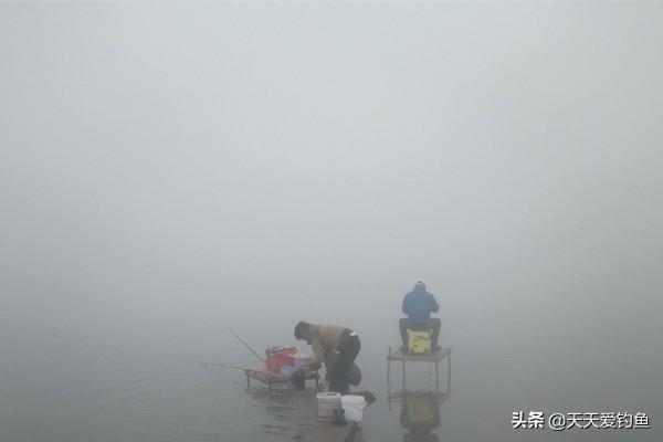 钓鱼天气有什么讲究吗（什么天气鱼最好钓）